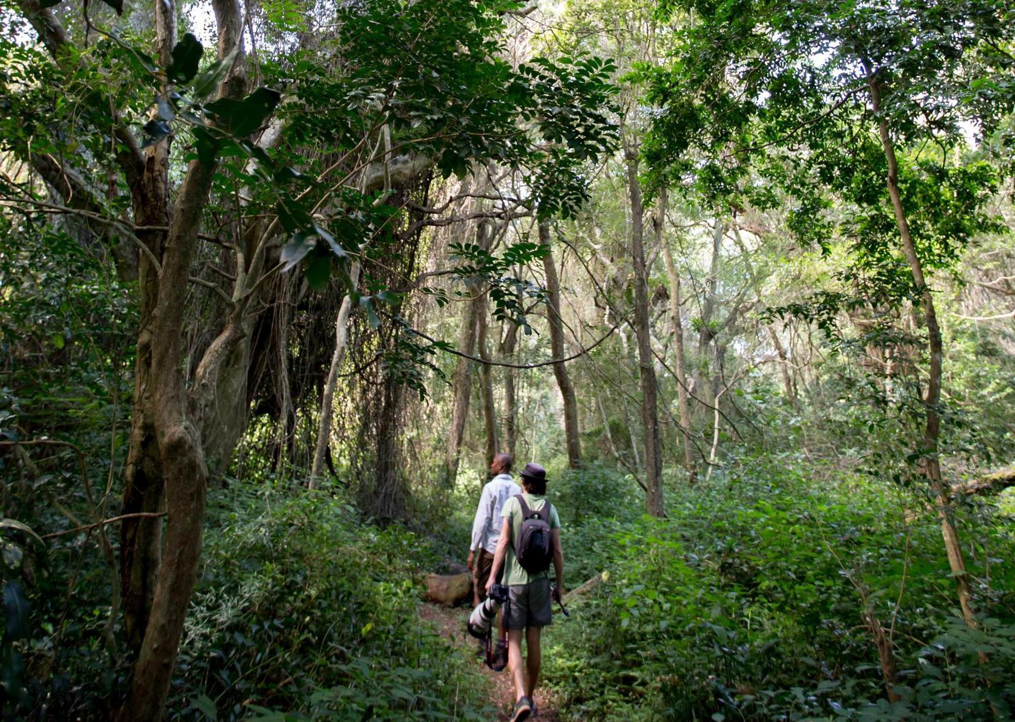 Royal Thonga Safari Lodge Sihangwane Esterno foto