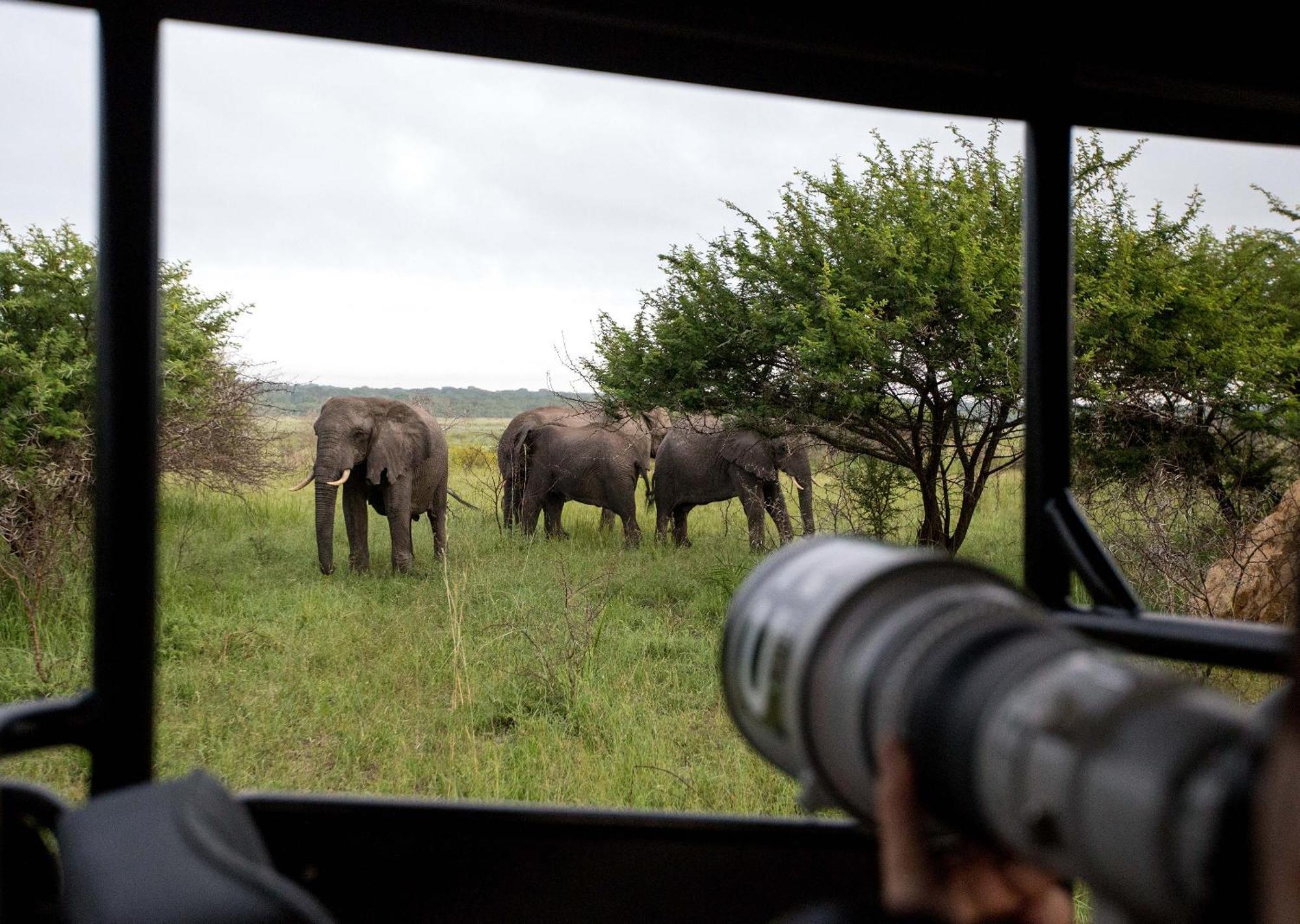 Royal Thonga Safari Lodge Sihangwane Esterno foto
