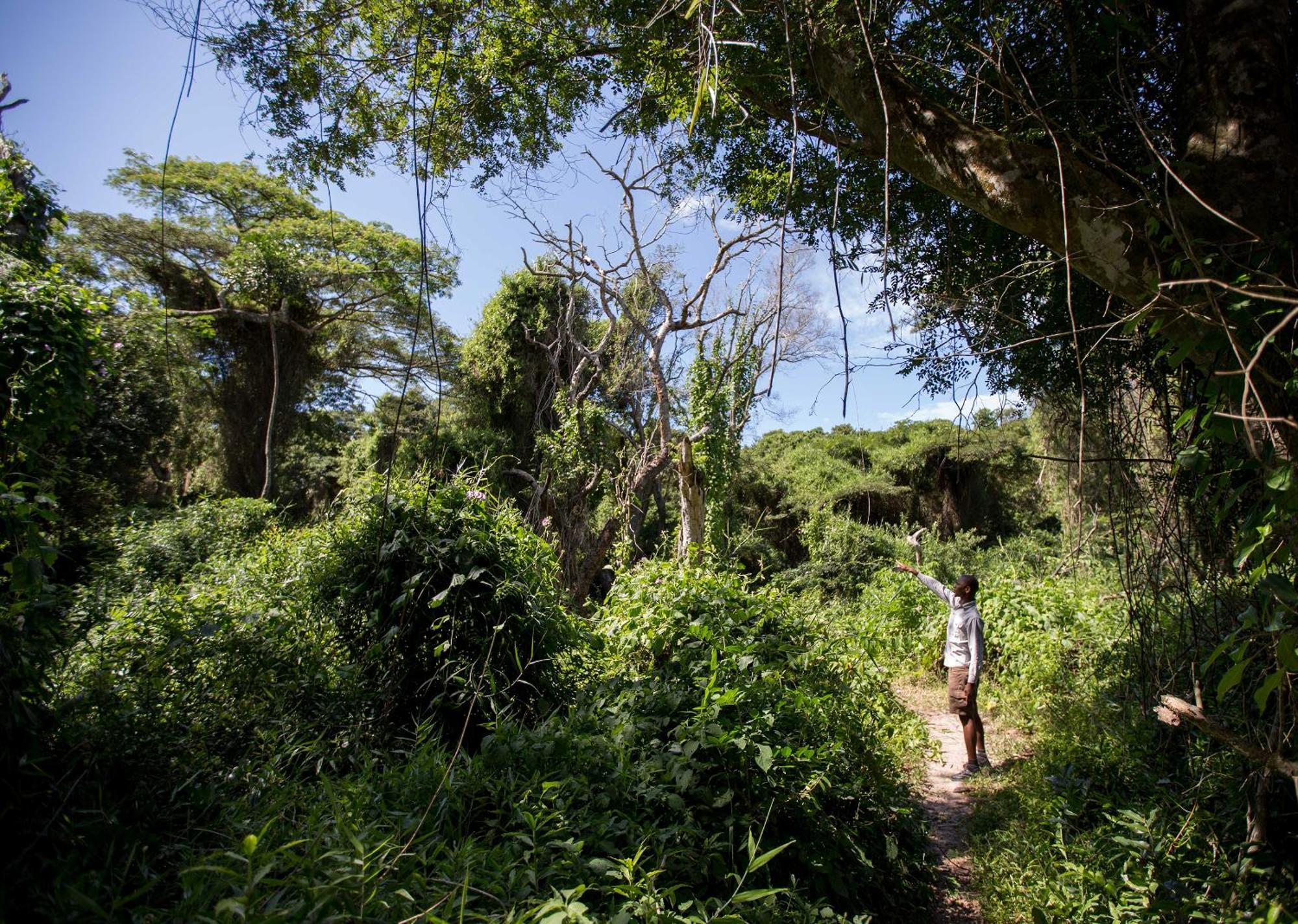 Royal Thonga Safari Lodge Sihangwane Esterno foto